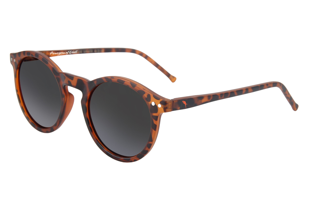 Latitudes Margaritaville Polarized Tortoise Sunglasses - The Dock Drop