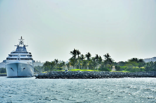 a large cruise ship in a body of water