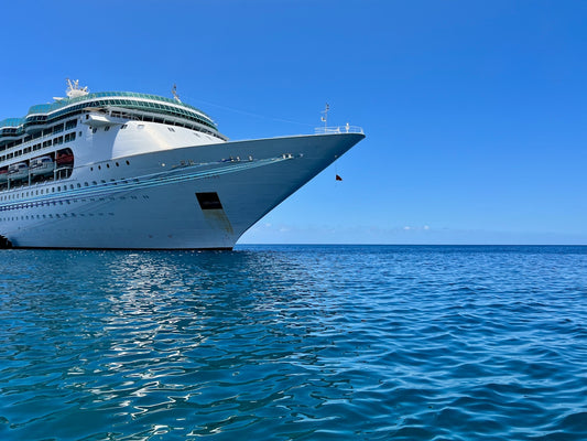 a large cruise ship in the middle of the ocean