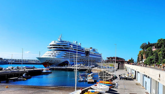 a large cruise ship docked at a dock