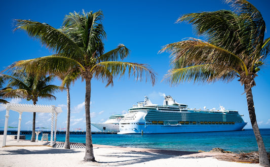 a cruise ship is docked at a tropical beach