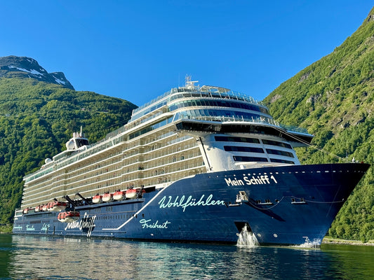 A large cruise ship in a body of water