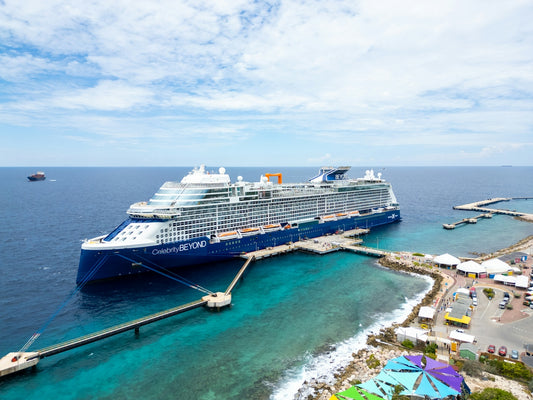 A cruise ship docked at a pier in the ocean