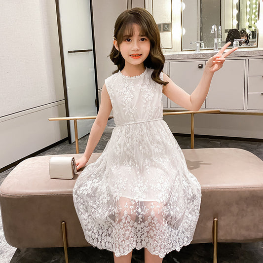 Dreamy Lace Princess Dress