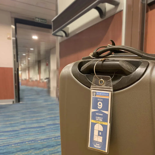 Waterproof Luggage ID Tag