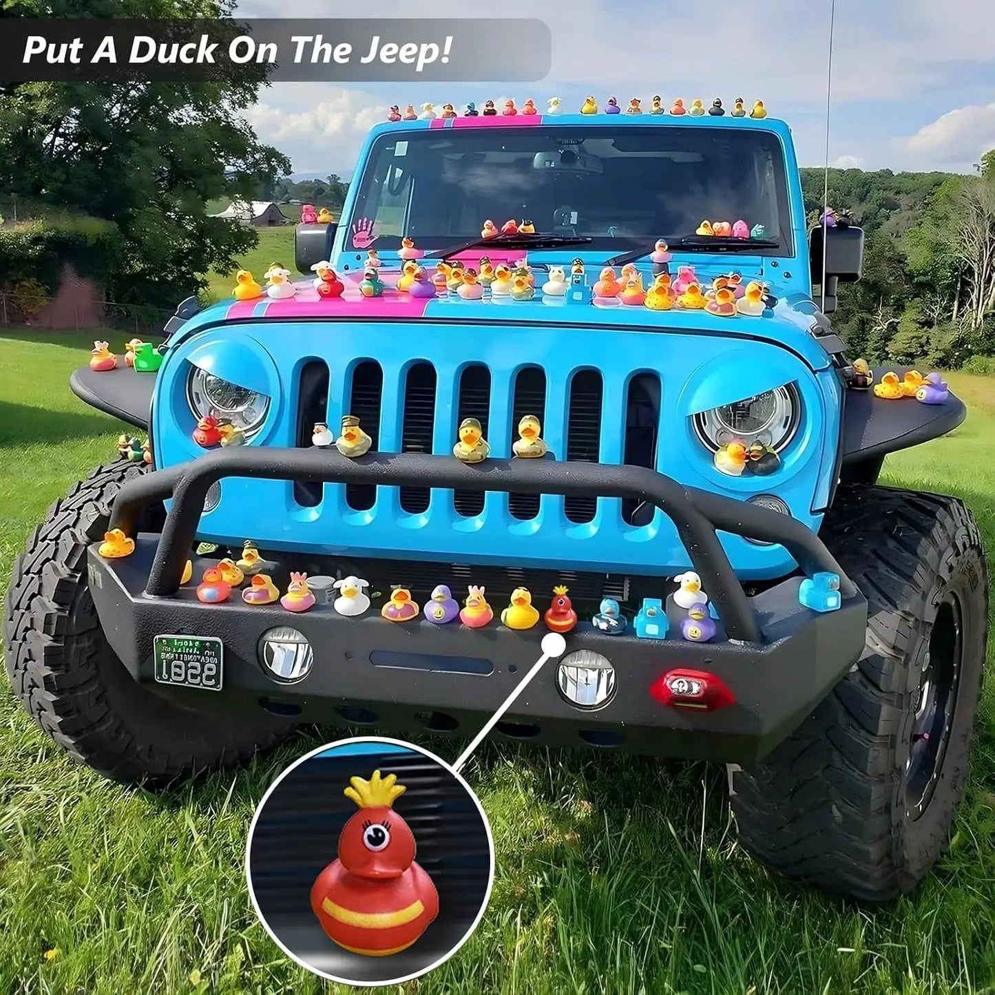 Assorted Mini Cruise Duck Exchange Packs – Random Designs