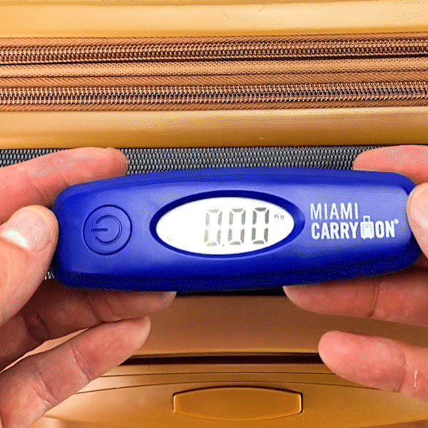 Digital Luggage Scale with Stainless Steel Hook - The Dock Drop